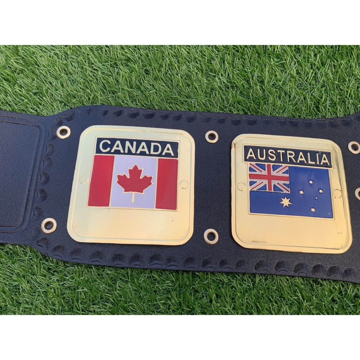 NWA World Heavyweight Championship Inspired Collectible Title Belt - photo 4 of 6 | Brex International