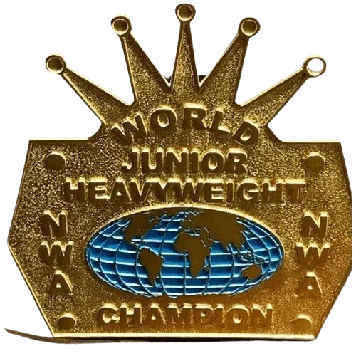 NWA World Junior Jr. Heavyweight Title Champion Inspired Belt - photo 1 of 1 | Brex International