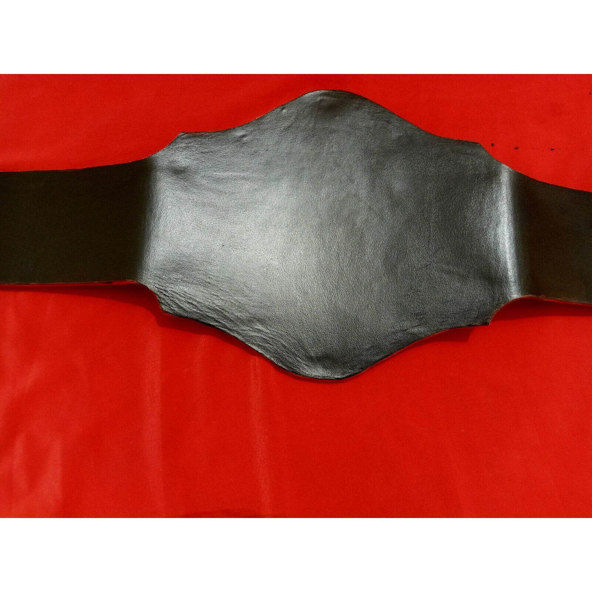 NWA World Television Championship Inspired Collectible Title Belt - photo 3 of 9 | Brex International