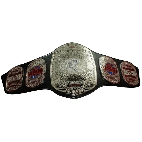 NWA WWW Eastern States Heavyweight Championship Inspired Belt - photo 1 of 2 | Brex International