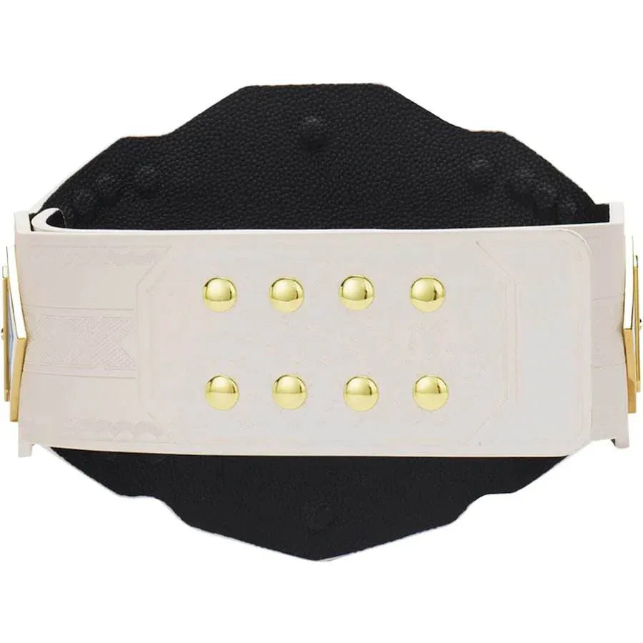 NXT 2.0 Women's Championship Inspired Collectible Title Belt - photo 4 of 5 | Brex International