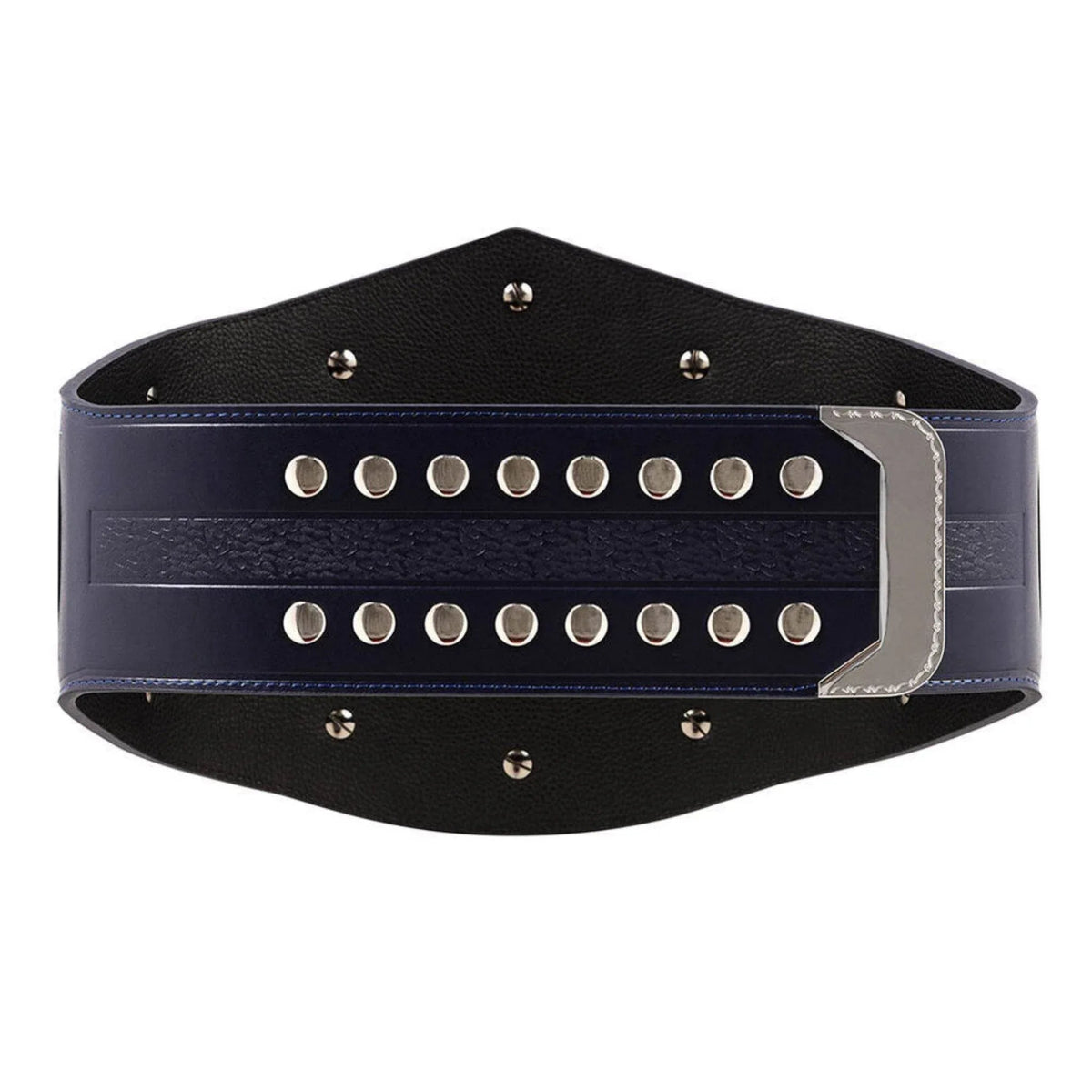 NXT Cruiserweight Championship Inspired Collectible Title Belt - photo 4 of 4 | Brex International