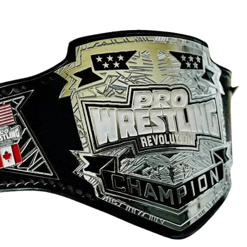 Pro Wrestling Championship Inspired Collectible Title Belt - photo 2 of 4 | Brex International