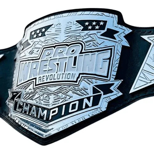 Pro Wrestling Championship Inspired Collectible Title Belt - photo 3 of 4 | Brex International