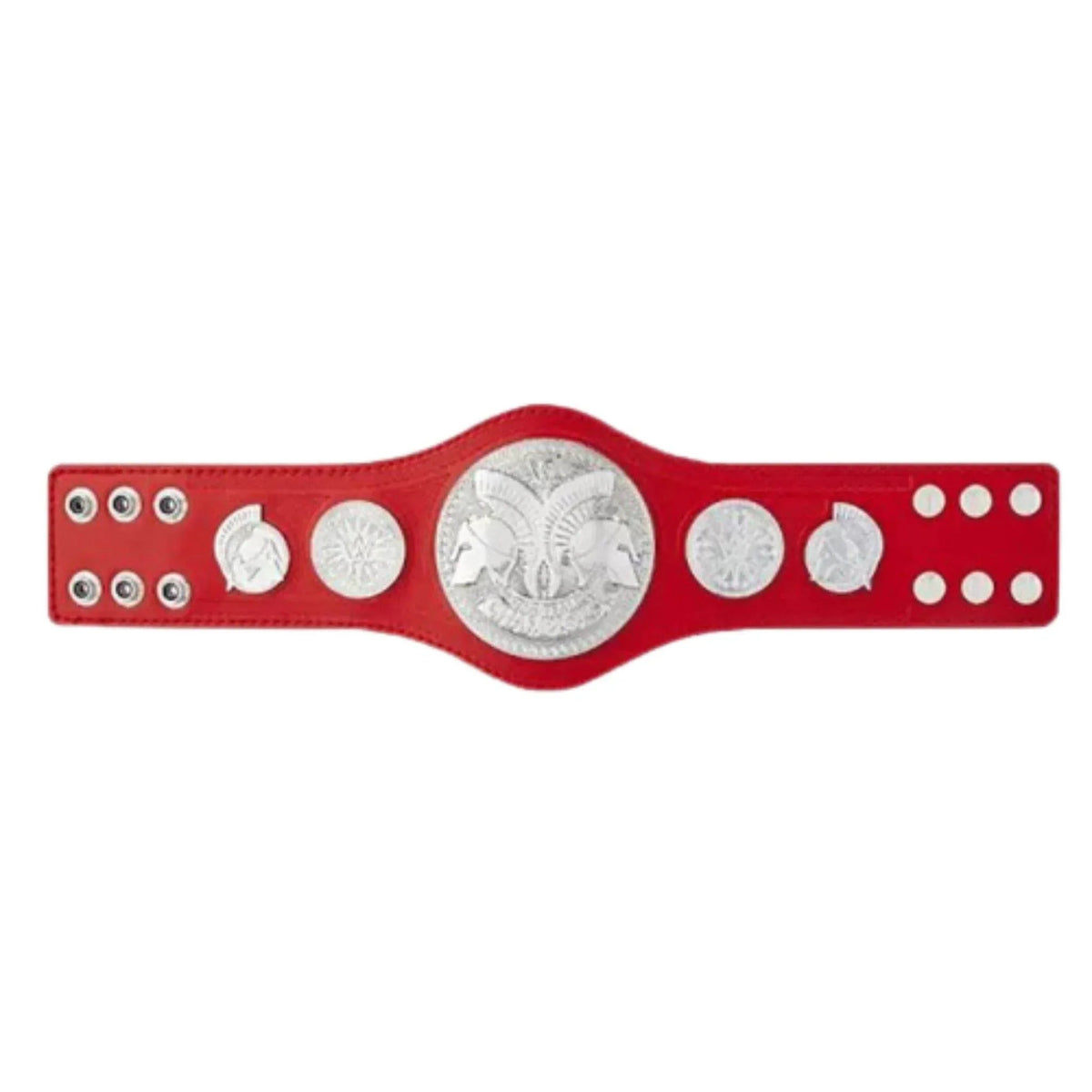 Raw WWE Tag Team Belts Championship Kids Inspired Title - photo 1 of 1 | Brex International