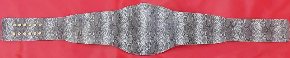 Smoking Skull Snake Skin Wrestling Championship Inspired Title Belt - photo 6 of 7 | Brex International