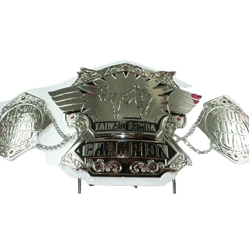 Taiwan Sanda Kickboxing Championship Belt Adult Size Inspired Belt - photo 1 of 1 | Brex International