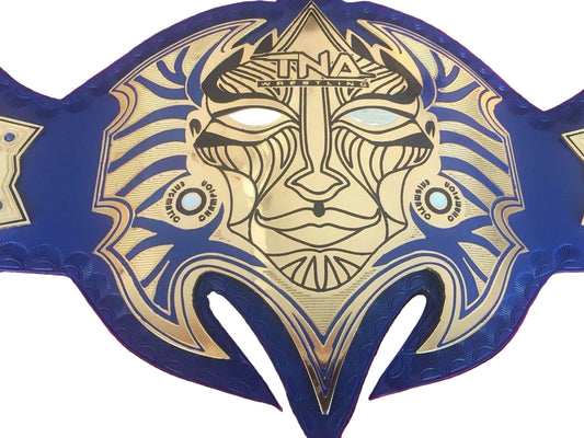 TNA Jeff Hardy Wrestling Championship Inspired Collectible Title Belt - photo 1 of 9 | Brex International