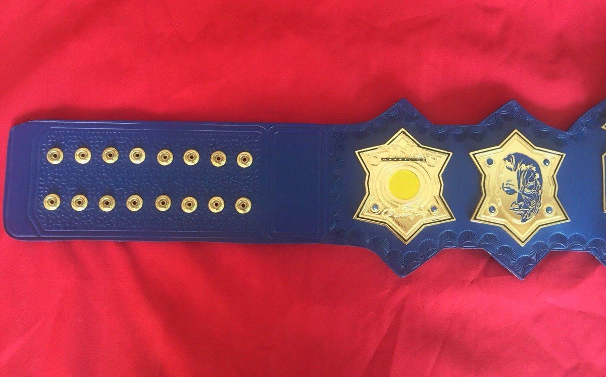 TNA Jeff Hardy Wrestling Championship Inspired Collectible Title Belt - photo 6 of 9 | Brex International