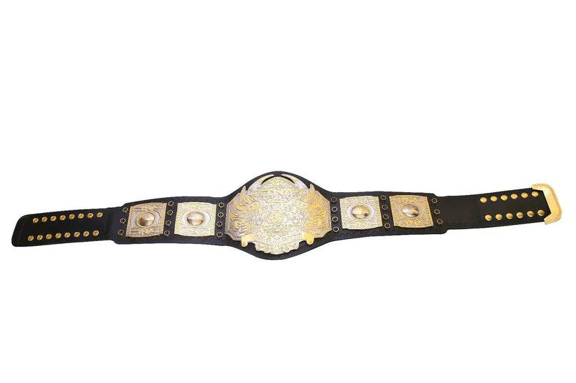 TNA World Heavyweight Wrestling Championship Inspired Belt - photo 4 of 5 | Brex International