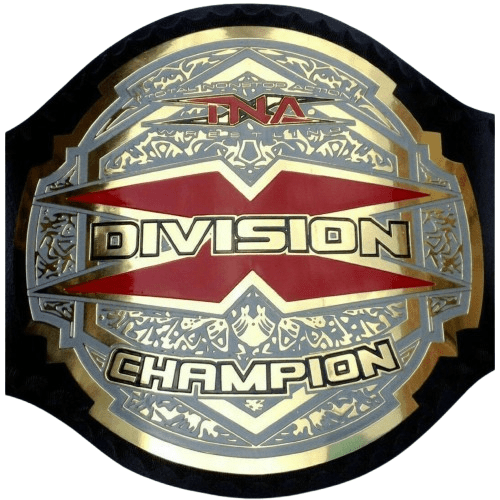 TNA X Division Championship Inspired Collectible Title Belt - photo 1 of 7 | Brex International