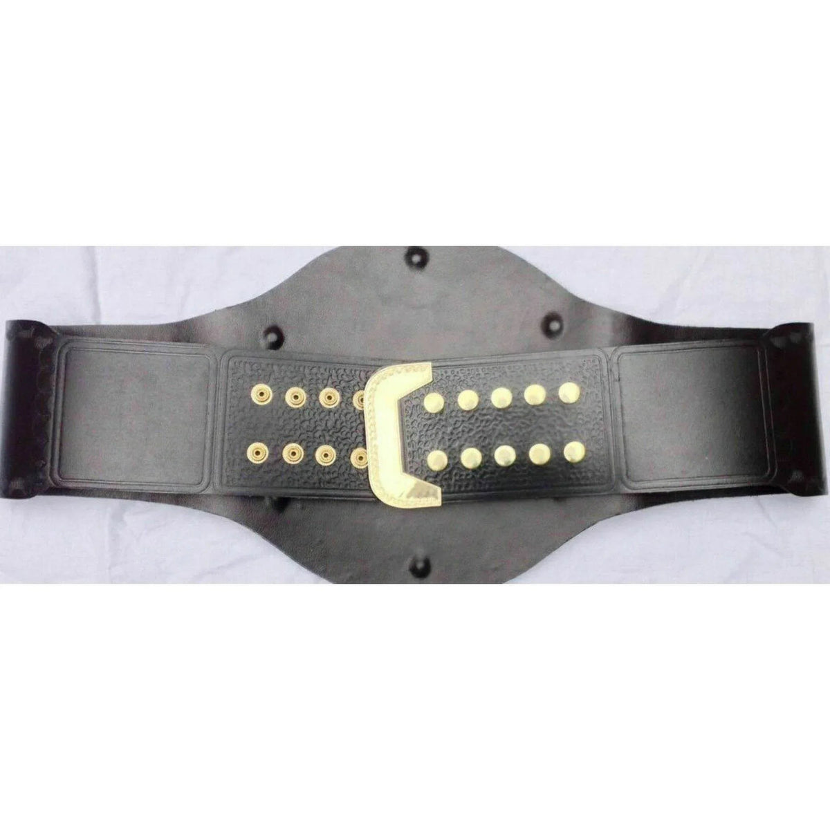 TNA X Division Championship Inspired Collectible Title Belt - photo 4 of 7 | Brex International