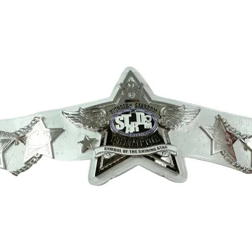 Wonder of Stardom Symbol of the Shining Star Champion Inspired Belt - photo 1 of 2 | Brex International