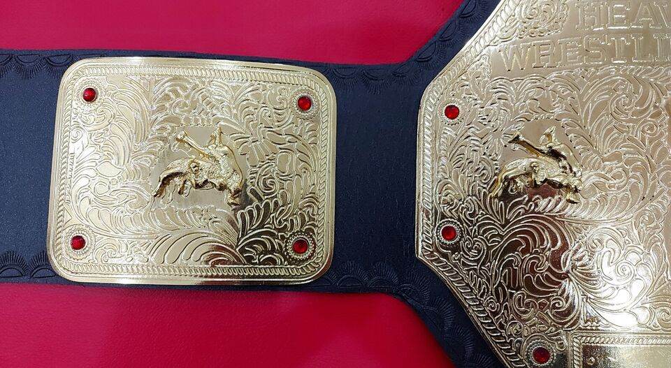 World Heavyweight Big Gold Championship Inspired Collectible Belt - photo 4 of 5 | Brex International