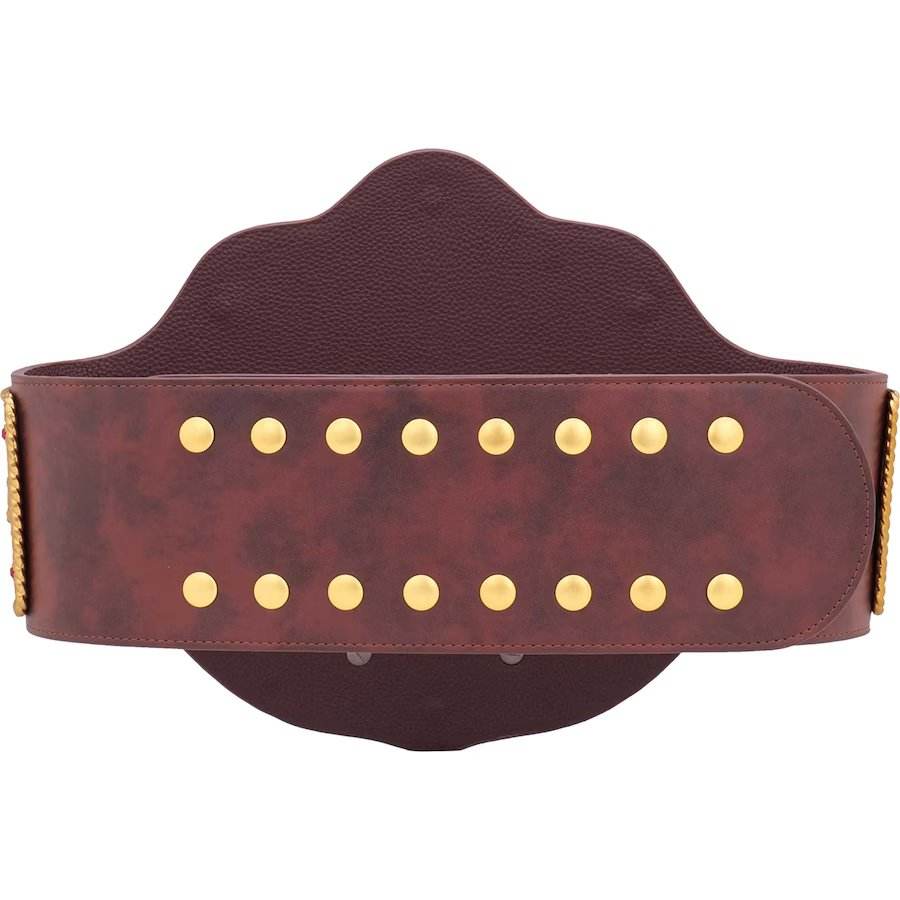 WWE Big Gold World Heavyweight Championship Collectible Title Belt - photo 4 of 8 | Brex International