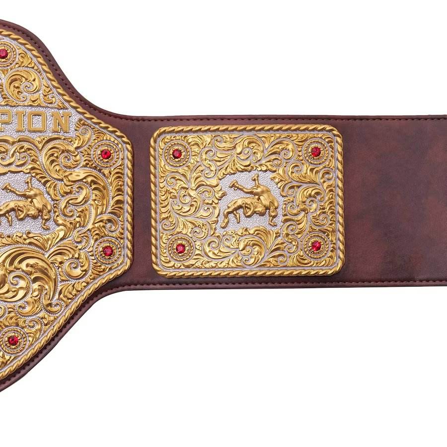WWE Big Gold World Heavyweight Championship Collectible Title Belt - photo 6 of 8 | Brex International