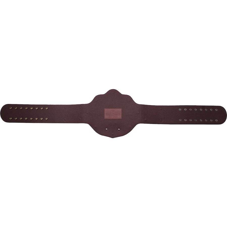 WWE Big Gold World Heavyweight Championship Collectible Title Belt - photo 8 of 8 | Brex International