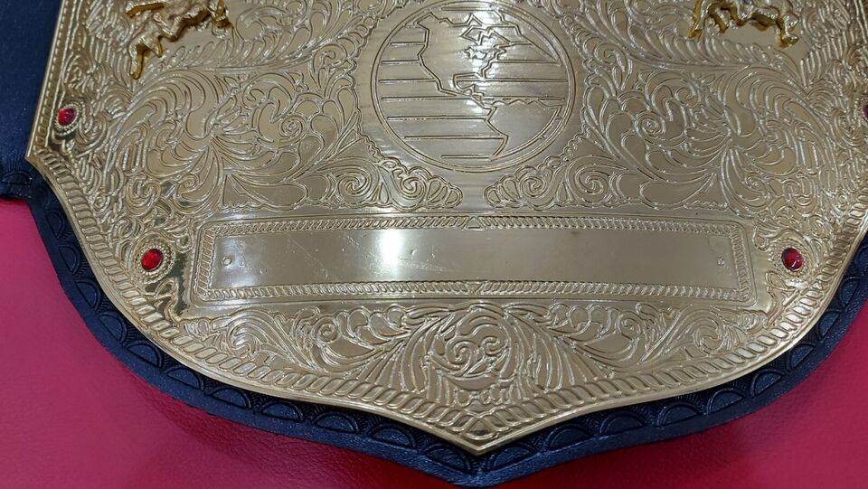 WWE Big Gold World Heavyweight Championship Title Inspired Belt - photo 3 of 7 | Brex International