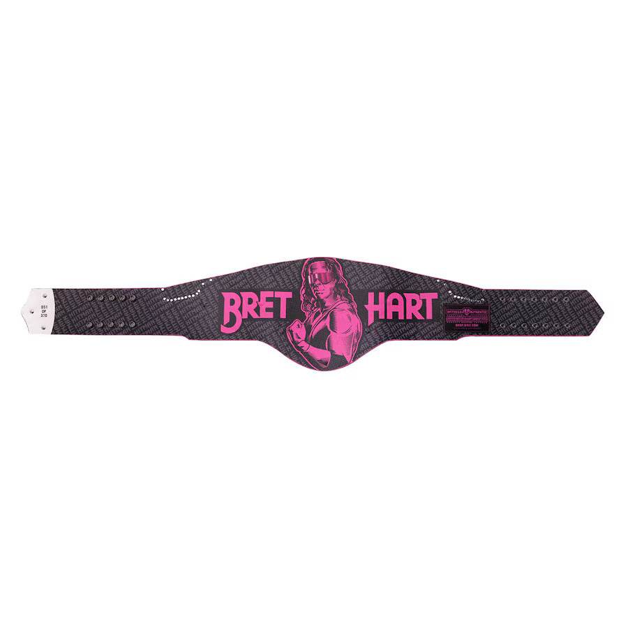 WWE Bret Hart Legacy Championship Inspired Collectible Title Belt - photo 8 of 8 | Brex International