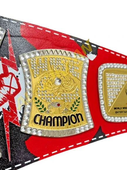 WWE CM Punk Spinner Wrestling Heavyweight Championship Inspired Title Belt - photo 7 of 8 | Brex International