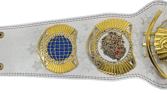 WWE Cody Rhodes American Nightmare Championship Inspired Title Belt - photo 2 of 5 | Brex International