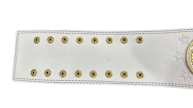 WWE Cody Rhodes American Nightmare Championship Inspired Title Belt - photo 5 of 5 | Brex International