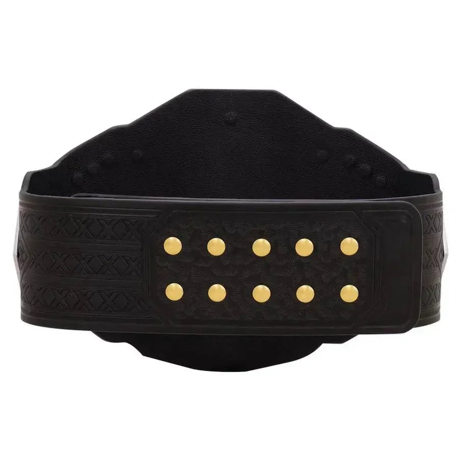 WWE NXT Championship 2024 Inspired Collectible Title Belt - photo 4 of 7 | Brex International