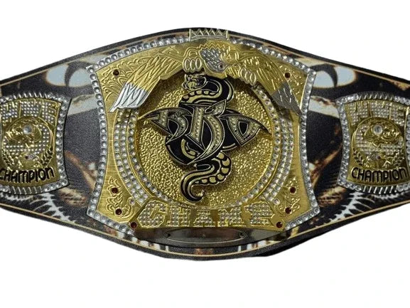 WWE NXT Randy Orton Spinner Championship Title Belt Inspired - photo 1 of 4 | Brex International