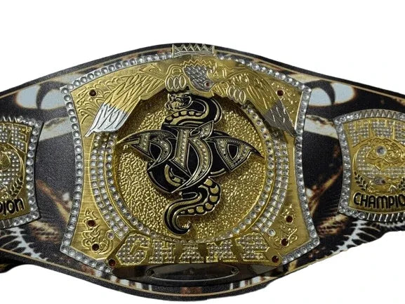 WWE NXT Randy Orton Spinner Championship Title Belt Inspired - photo 4 of 4 | Brex International
