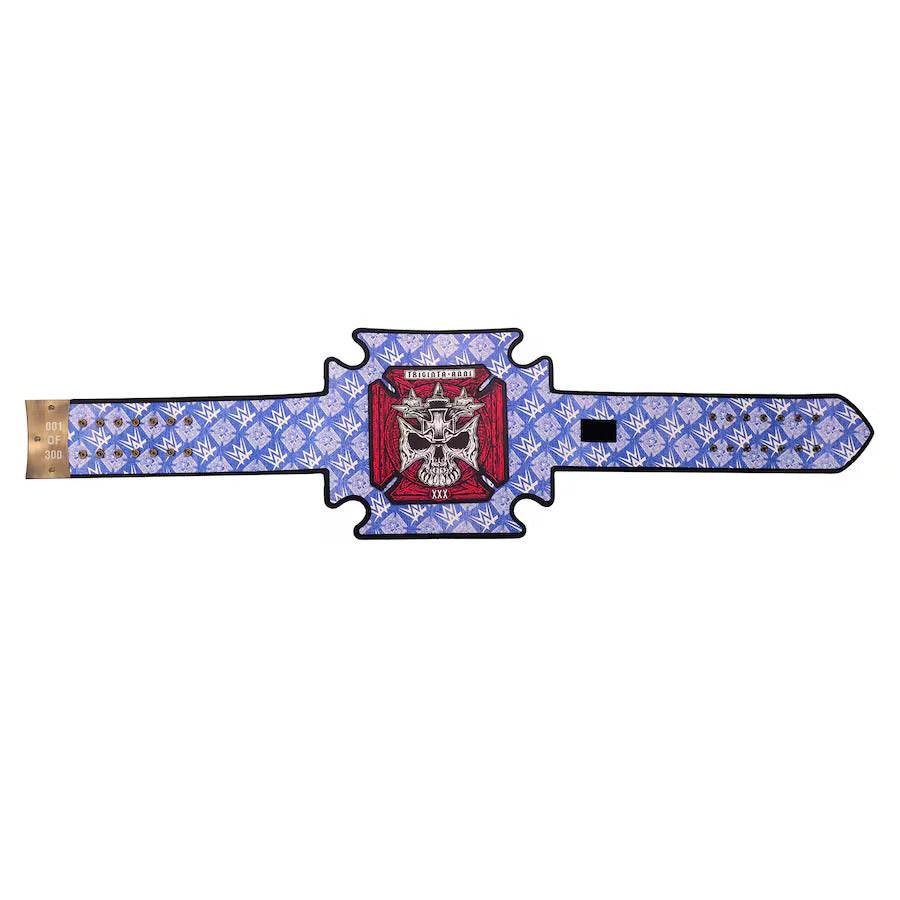 WWE Triple H 30 Years Evolution Heavyweight Championship Inspired Belt - photo 6 of 8 | Brex International