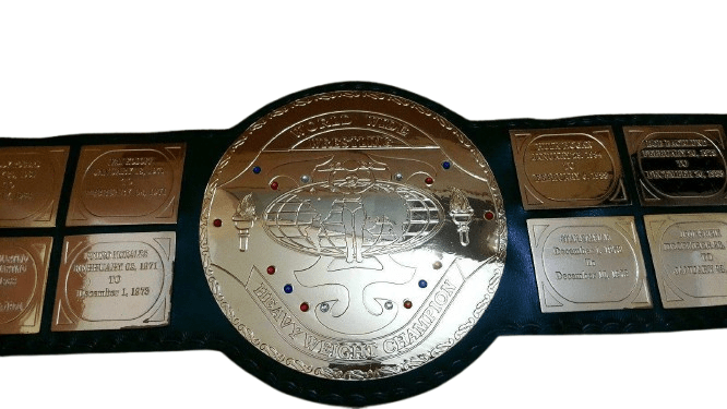 WWF Big Green World Heavyweight Wrestling Champion Inspired Title Belt - photo 1 of 5 | Brex International