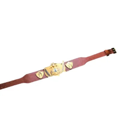 WWWF Nature Boy Buddy Rogers 1963 World Champion Inspired Belt - photo 2 of 3 | Brex International