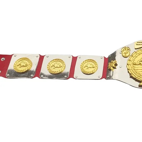 WWWF North American title Heavyweight Wrestling Champion Inspired Belt - photo 3 of 4 | Brex International