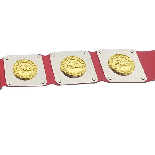WWWF North American title Heavyweight Wrestling Champion Inspired Belt - photo 4 of 4 | Brex International