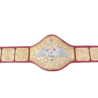 WWWF Pedro Morales Heavyweight Wrestling Champion Inspired Belt - photo 1 of 3 | Brex International